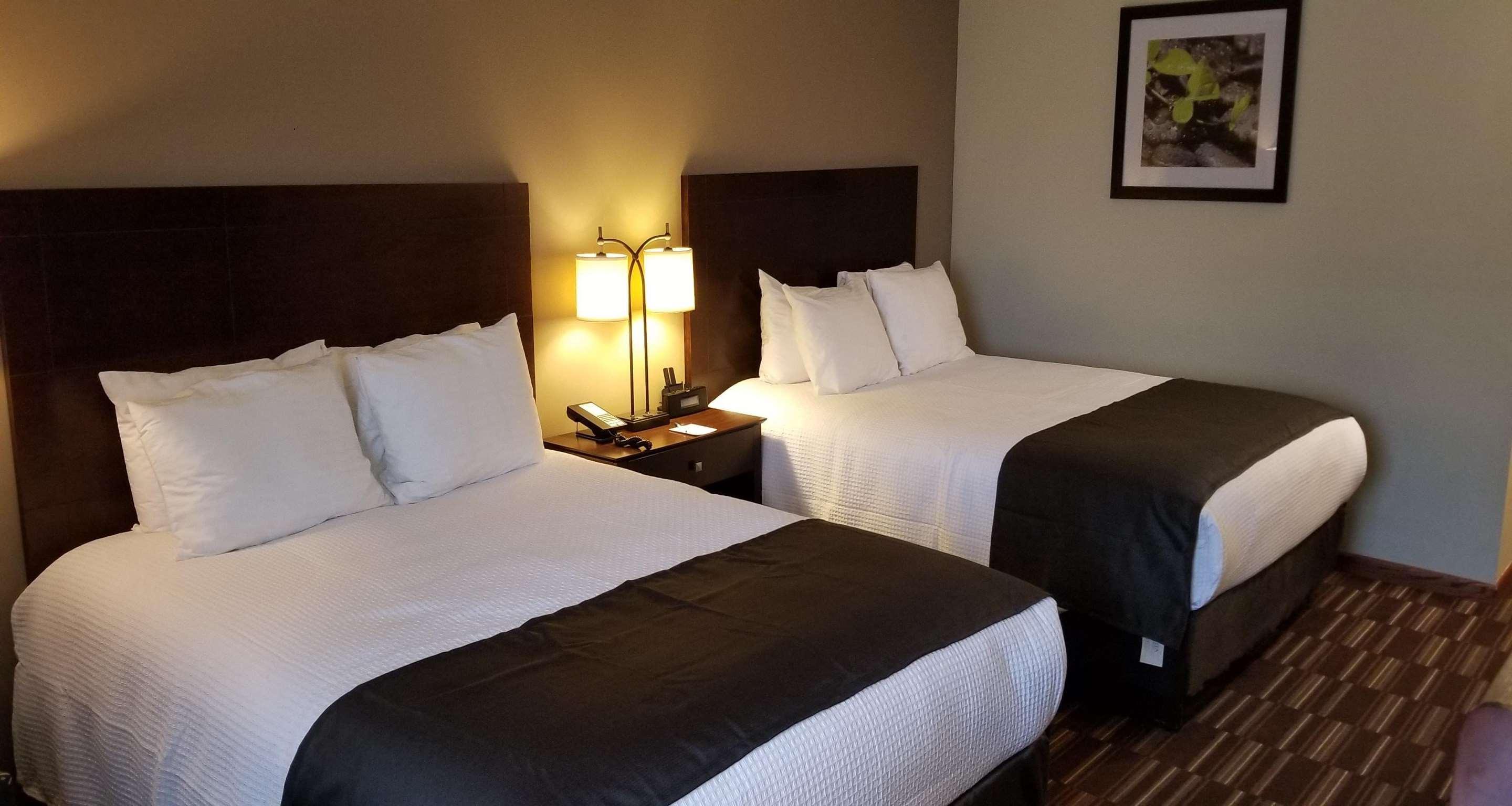 Best Western University Inn Urbana Exterior foto